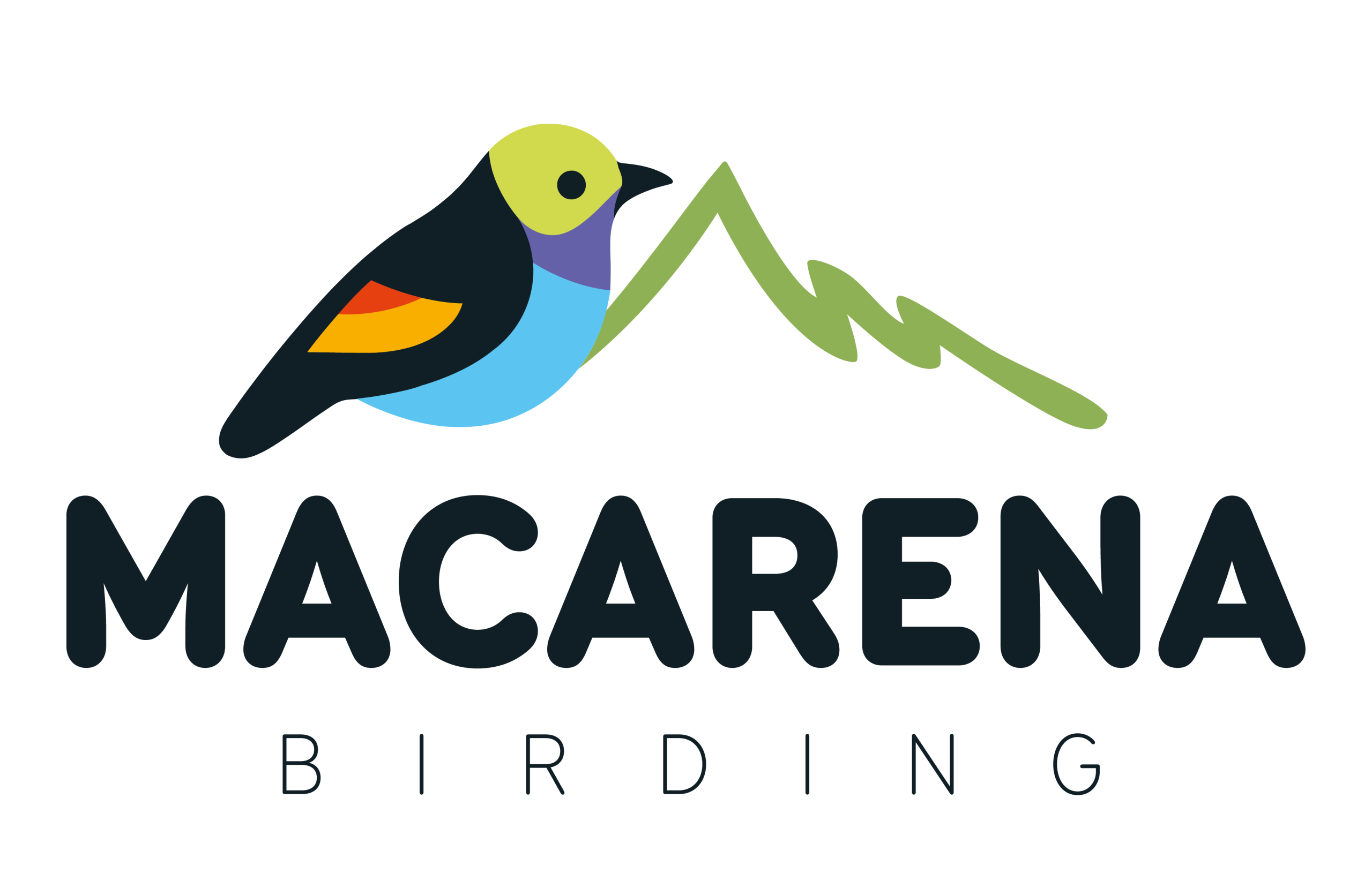 Macarena Birding